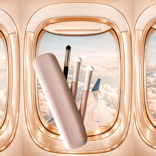 Carry-on Brush Case